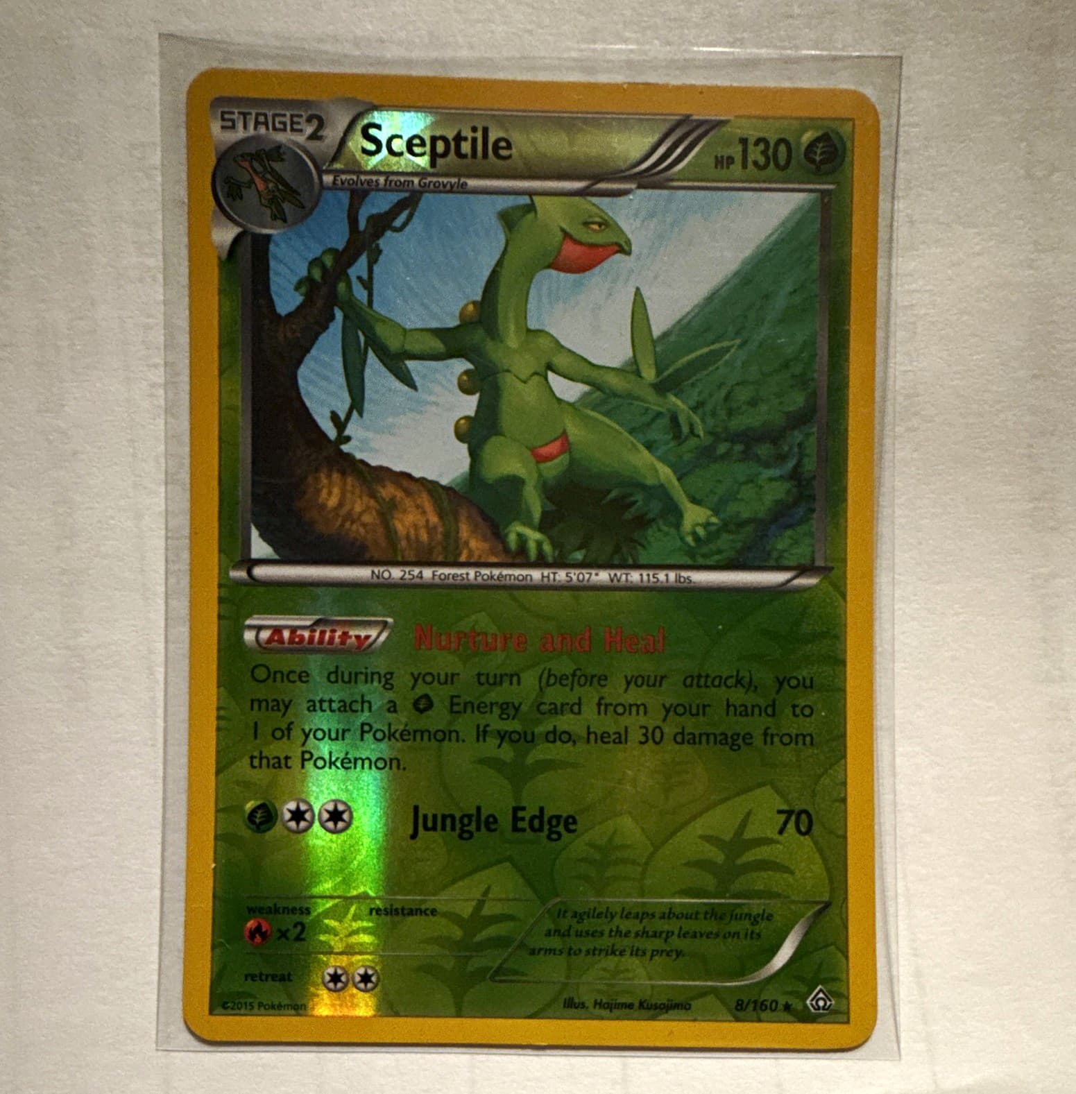 Pokémon TCG Sceptile 8/160 Primal Clash Rev Holo Rare EN 130HP/70 Grass Stage2 M