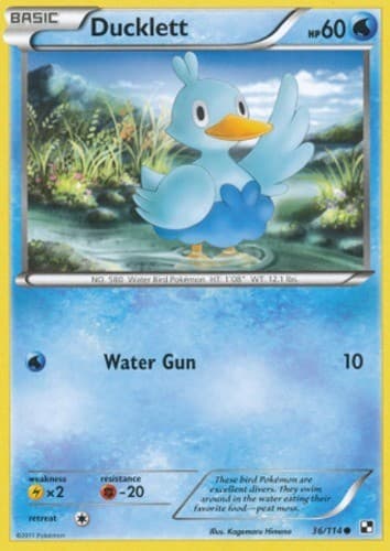 Ducklett - 36/114 - Common (Lp) Black and White - Water Pokémon