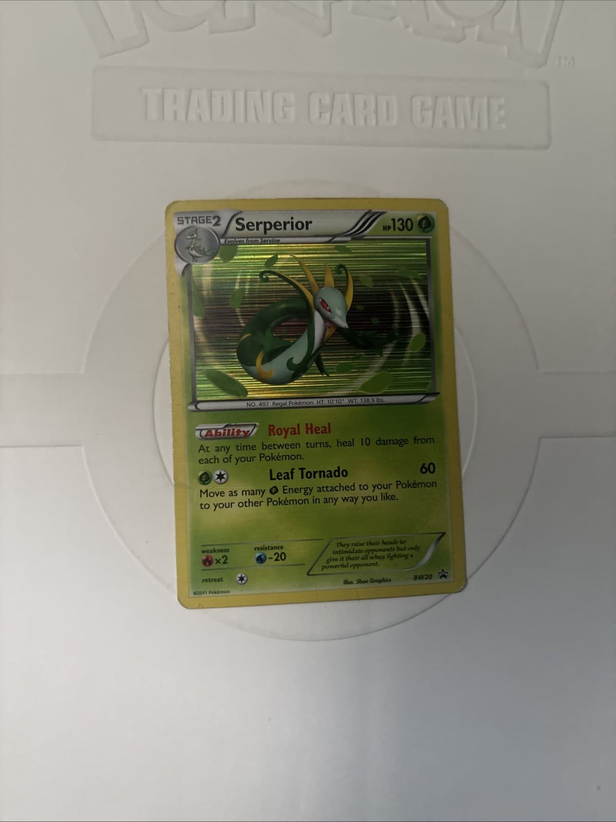 Pokémon TCG Serperior Black Star Promos BW20 HP Holo Card Collectible