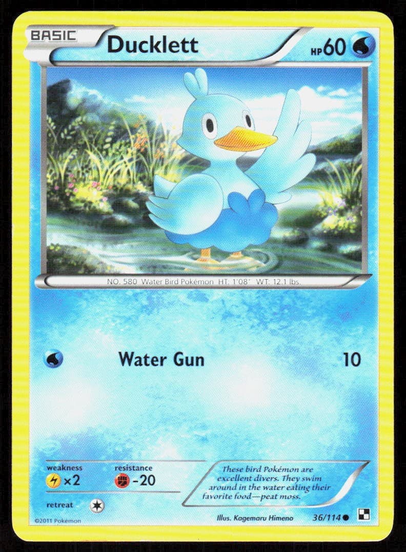 Ducklett 36/114 Common Black & White Pokemon Lightly Played