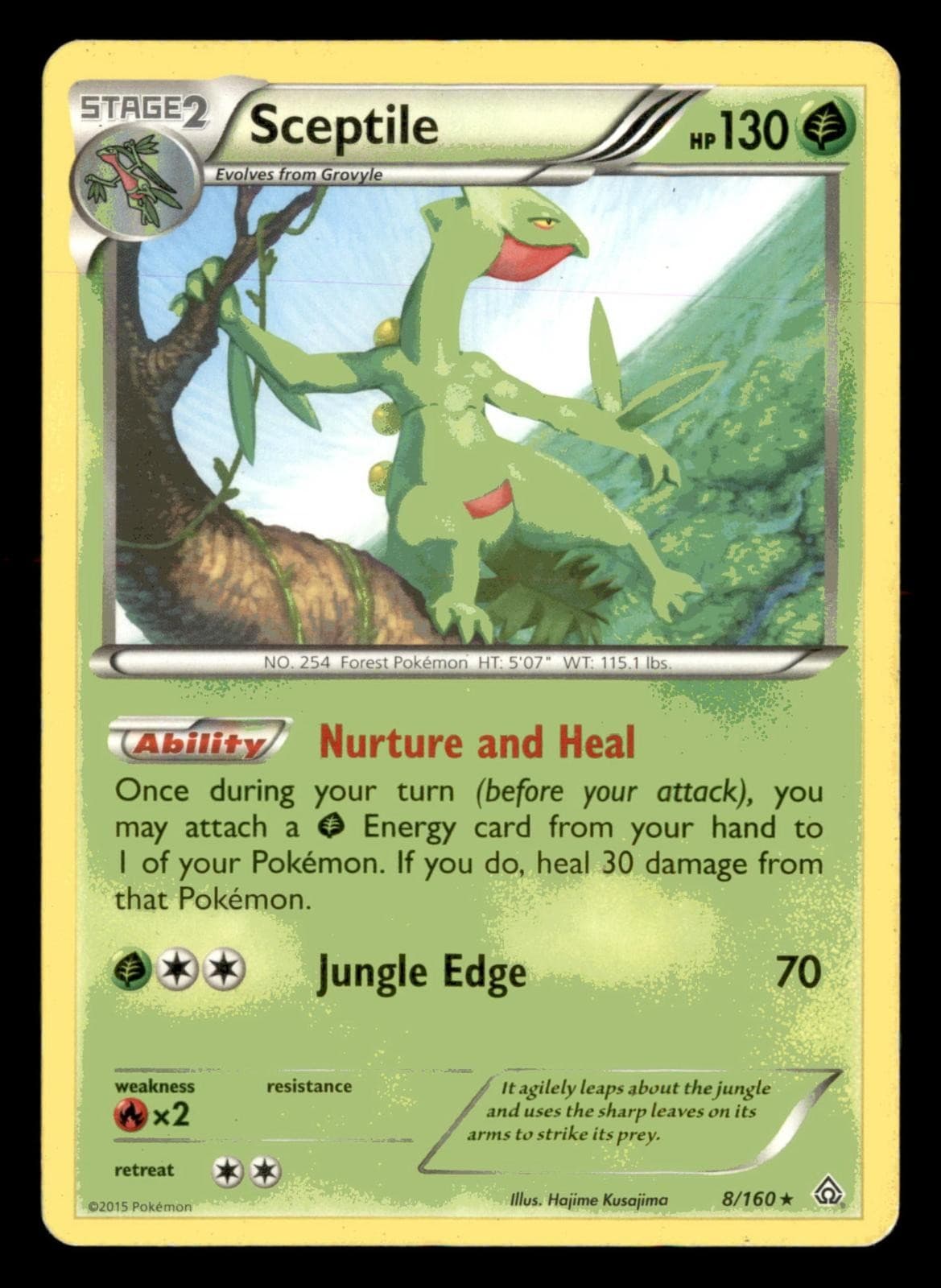 SCEPTILE 8/160 RARE PRIMAL CLASH POKEMON MP