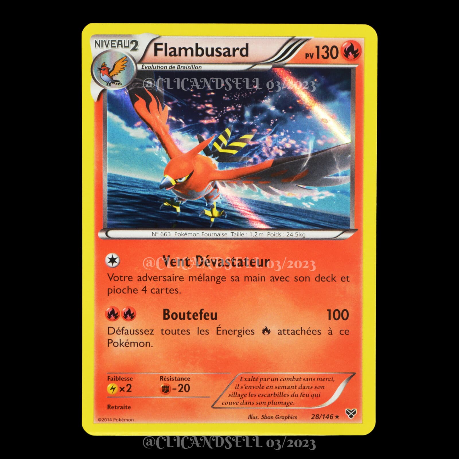 carte Pokémon Flambusard 28/146 #1 XY NEUF FR