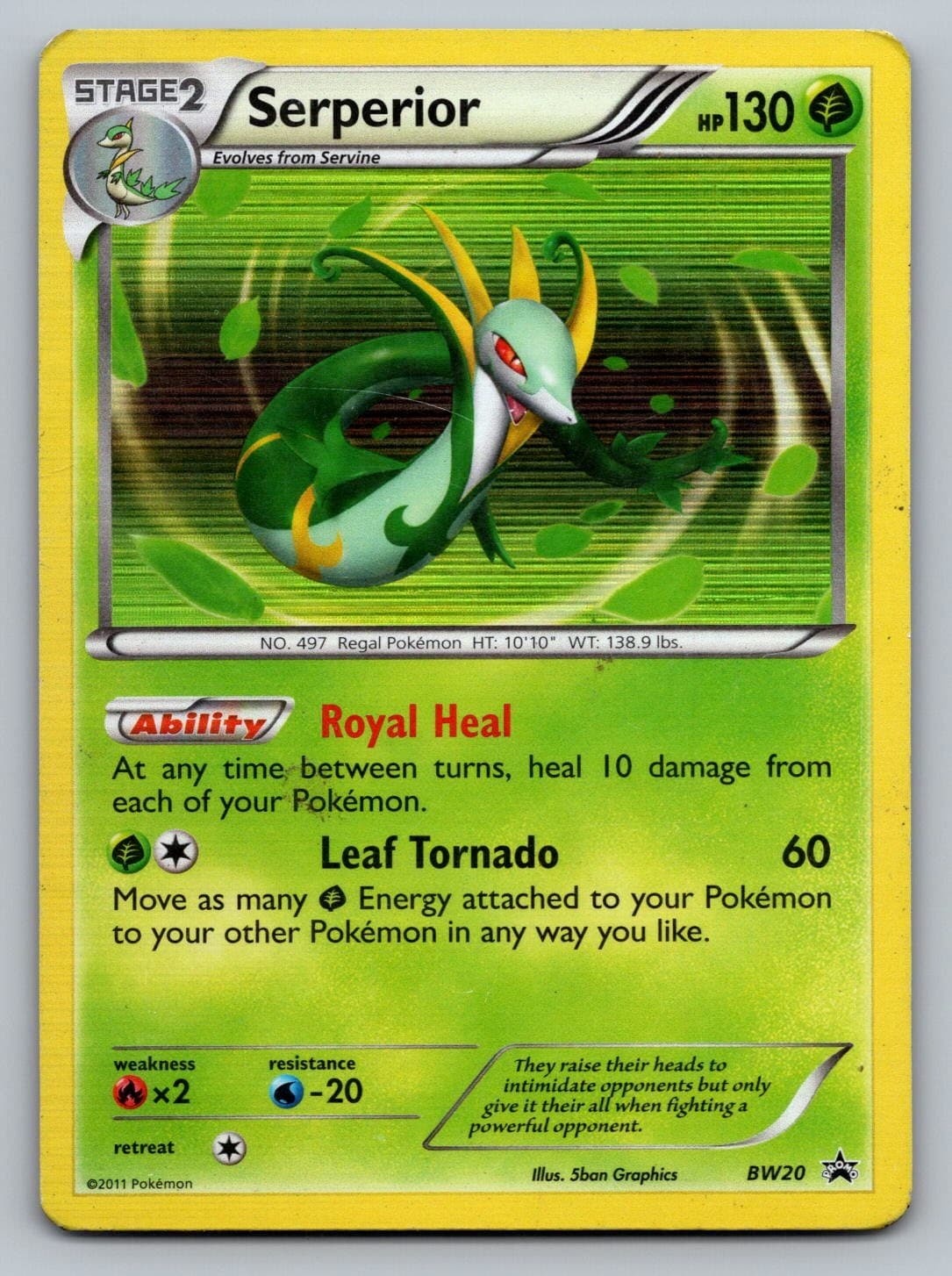Serperior BW20 Holo P Black And White Promo Pokemon HP