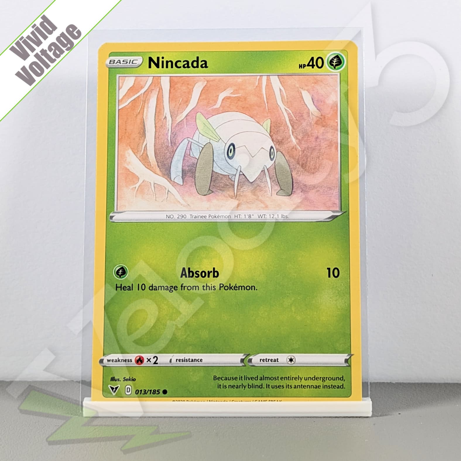 Pokemon TCG Card - Nincada 13/185 Common | Vivid Voltage (2020)