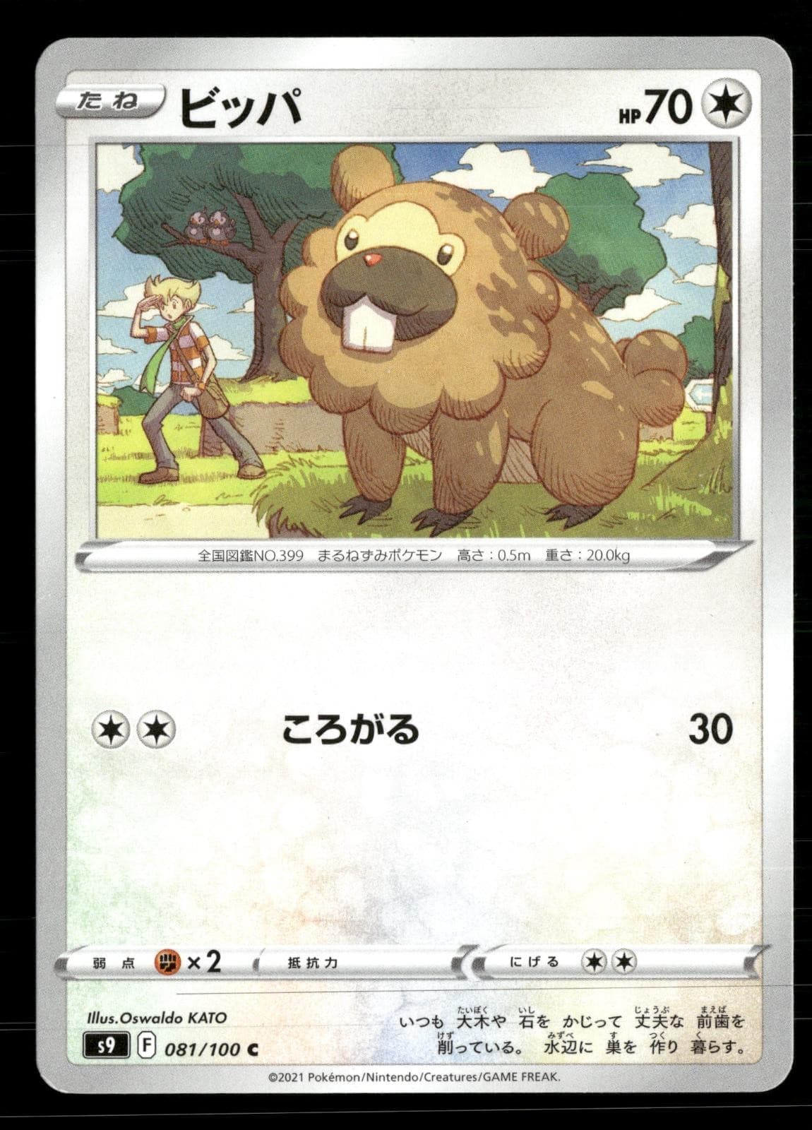Bidoof 081/100 Common Star Birth Pokemon Japanese Lightly Played
