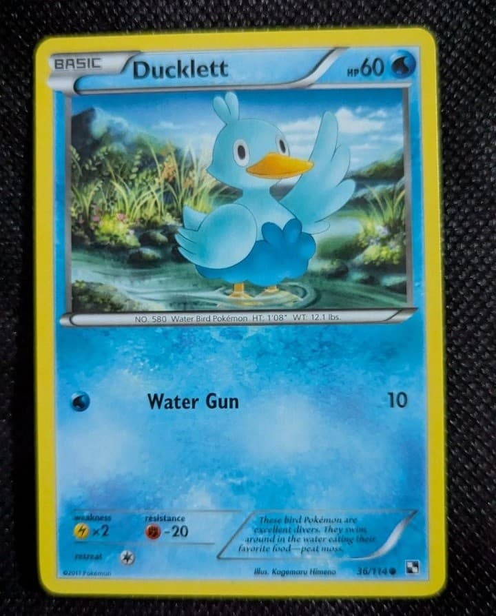 Pokemon Black and White Ducklett #36/114 Common 36/114