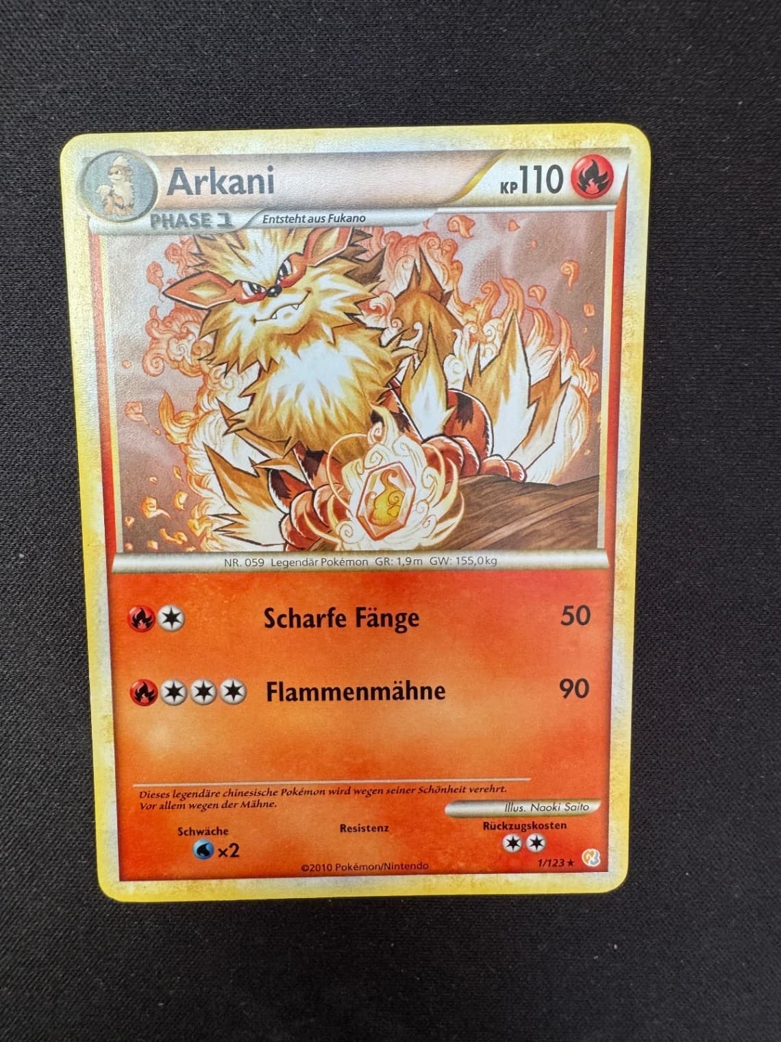 Arkani Normal, HeartGold SoulSilver 1 NM