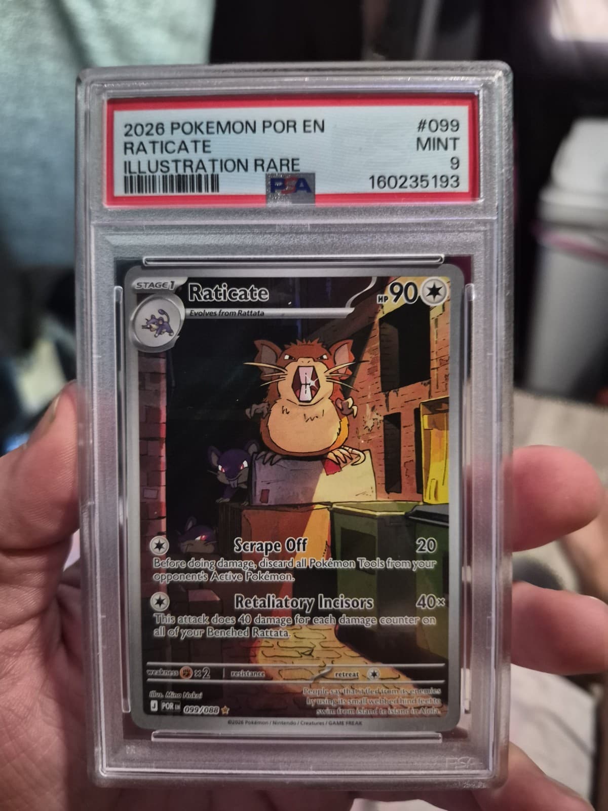 2026 POKEMON POR EN-PERFECT ORDER ILLUSTRATION RARE #099 RATICATE PSA 10