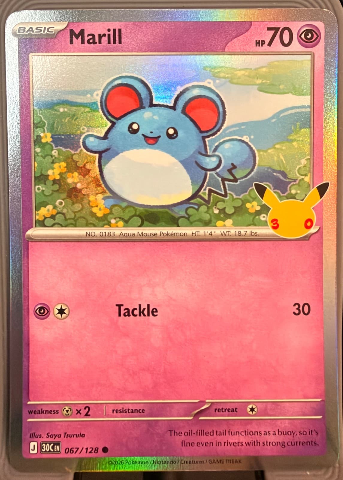 Marill 67/128 30th Celebration Common Holo English Pokémon TCG