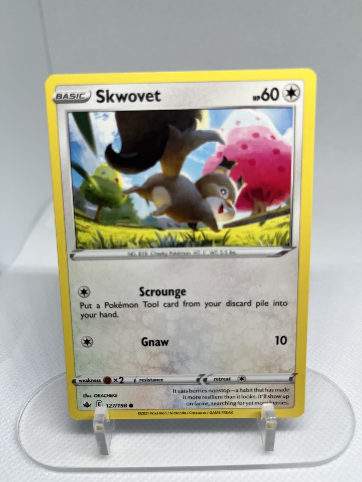 Skwovet 127/198 Common SWSH06: Chilling Reign Pokemon Near Mint