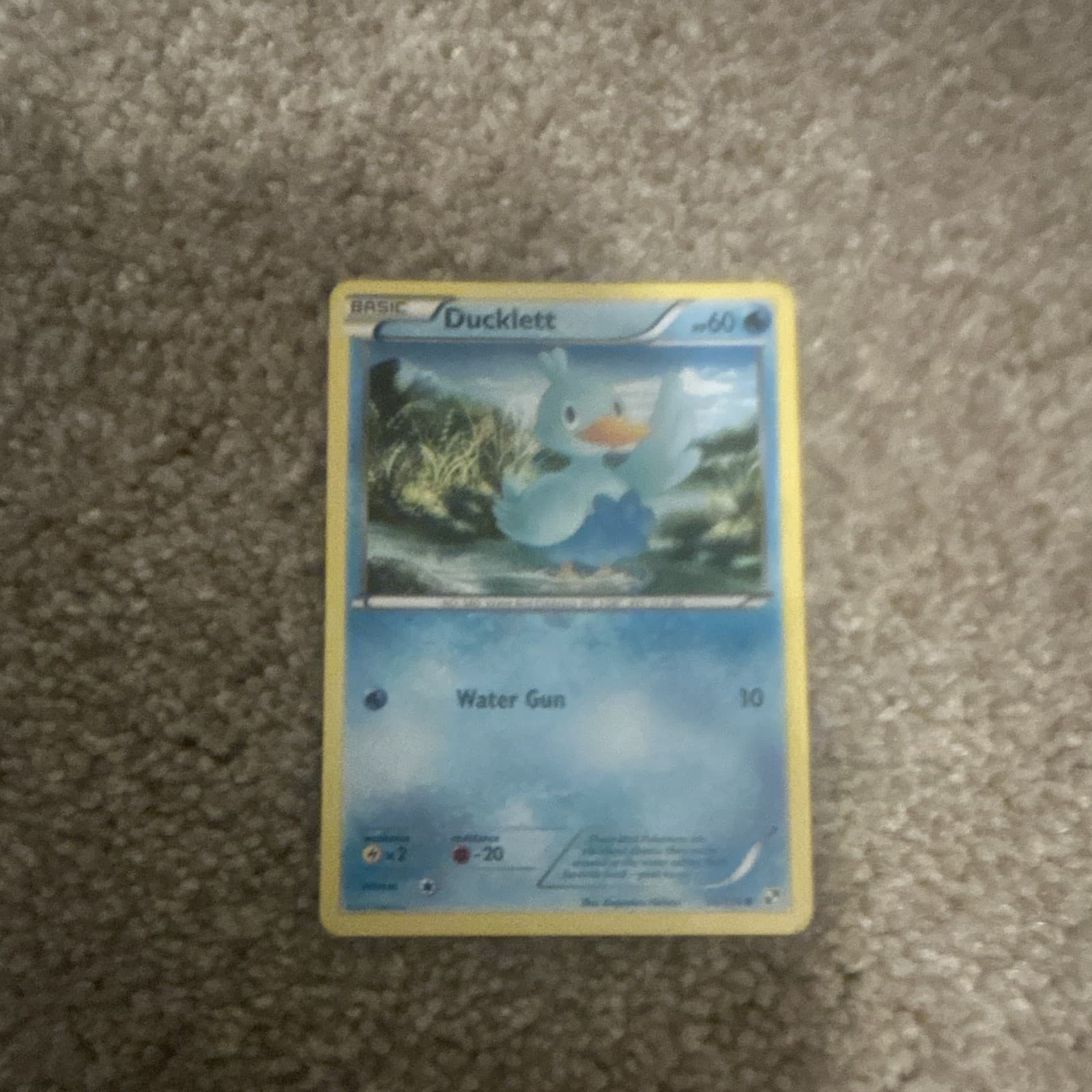 Pokemon TCG Ducklett 36/114 Black & White English Basic 60 HP
