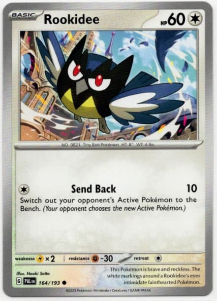 Pokemon - Rookidee - 164/193 - Paldea Evolved - NM/M