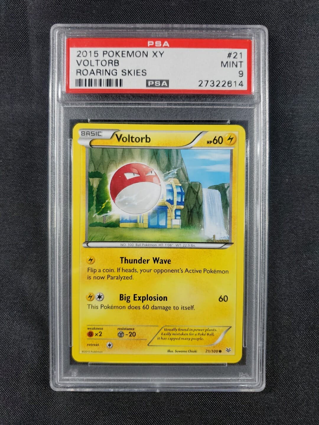 Voltorb Common 21/108 PSA MINT 9 XY Roaring Skies Pokemon Graded Card ''