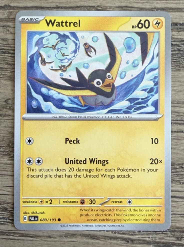 2023 Pokemon Card Paldea Evolved Wattrel 80/193