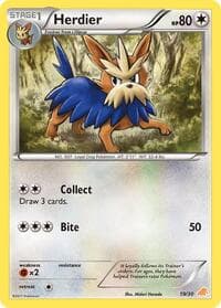 Herdier — BW Trainer Kit: Excadrill & Zoroark 19