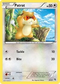 Patrat (#29) — BW Trainer Kit: Excadrill & Zoroark 29