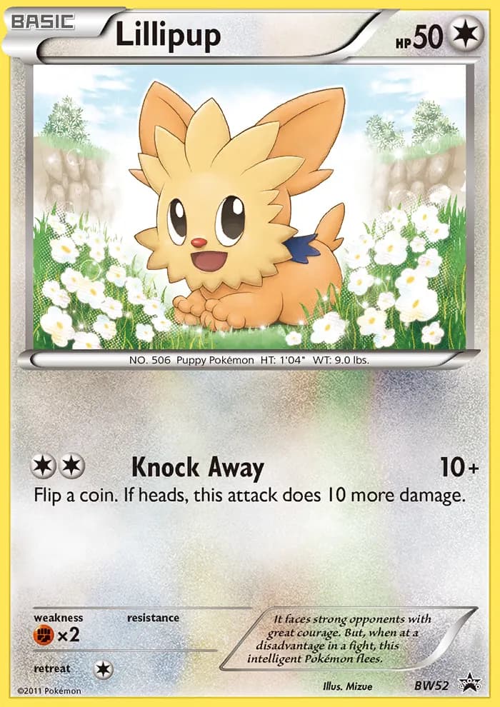 Lillipup — BW Black Star Promos BW52 Pokémon card