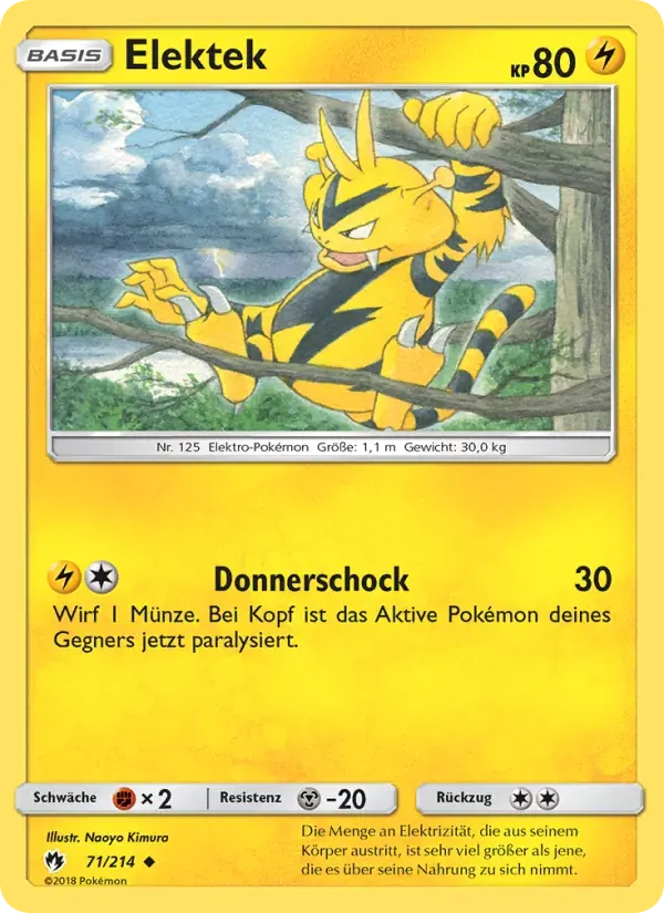 Elektek — Echo des Donners 71 German Pokémon card