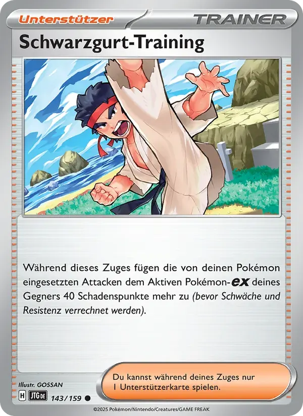 Schwarzgurt-Training — Reisegefährten 143 German Pokémon card