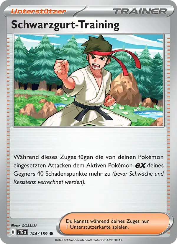 Schwarzgurt-Training — Reisegefährten 144 German Pokémon card
