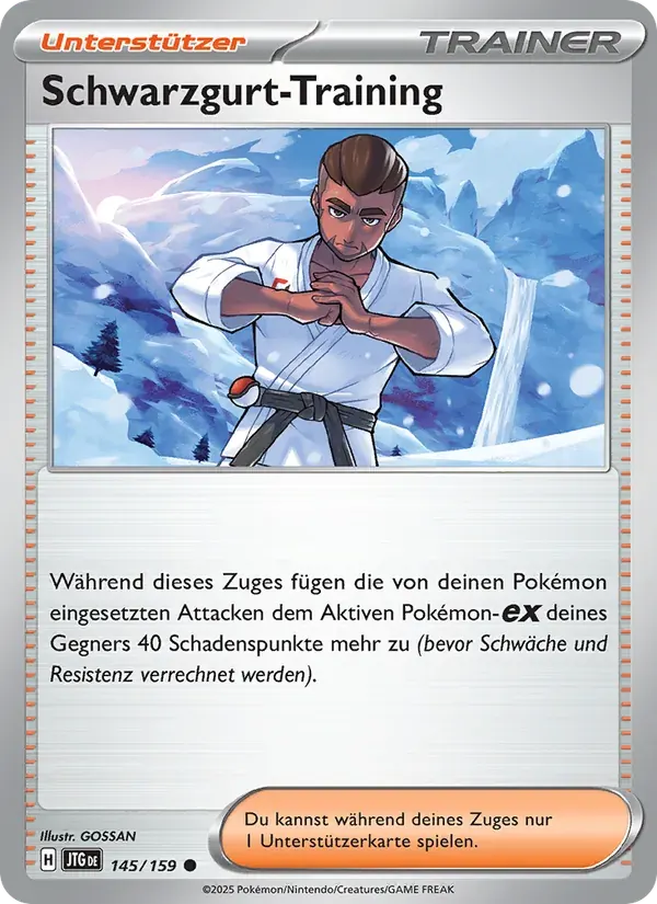 Schwarzgurt-Training — Reisegefährten 145 German Pokémon card