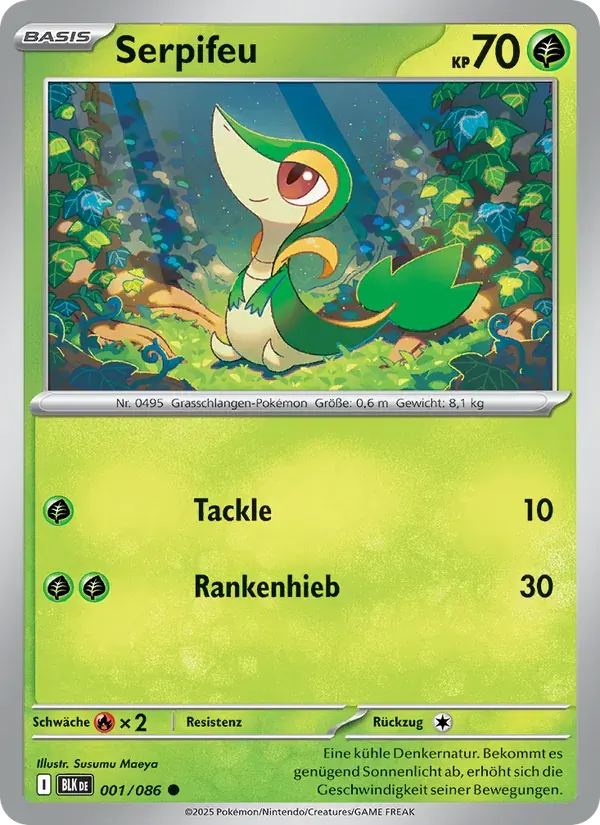 Serpifeu — Schwarze Blitze 1 German Pokémon card