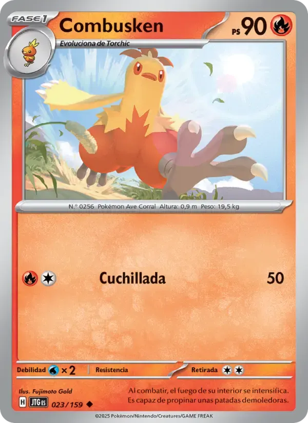 Combusken — Juntos de Aventuras 23 Spanish Pokémon card
