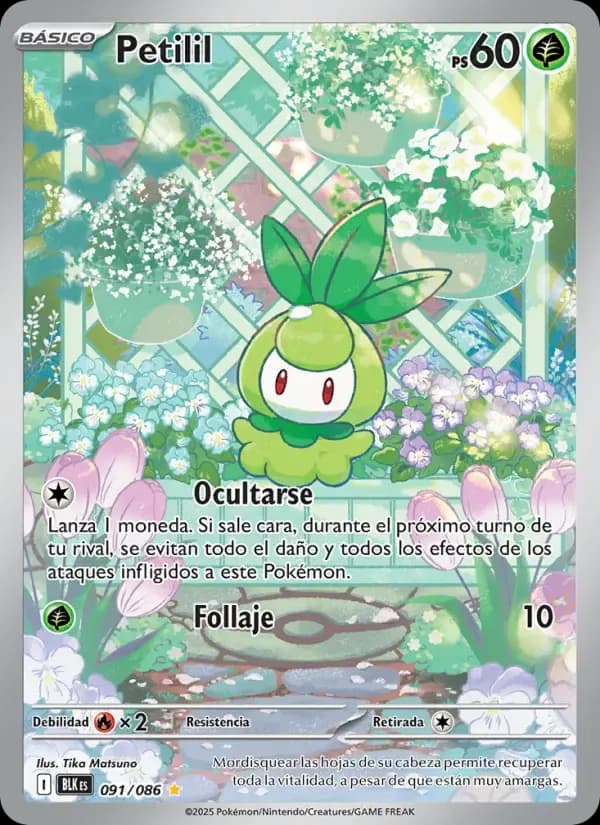 Petilil — Fulgor Negro 91 Spanish Pokémon card