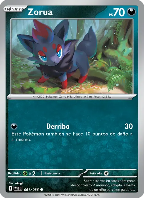 Zorua — Llama Blanca 61 Spanish Pokémon card