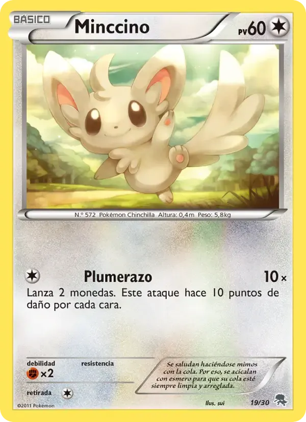 Minccino — Kit de Entrenador XY (Pikachu Enmascarada) 19 Spanish Pokémon card
