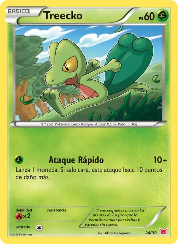 Treecko — Kit de Entrenador XY (Latias) 24 Spanish Pokémon card