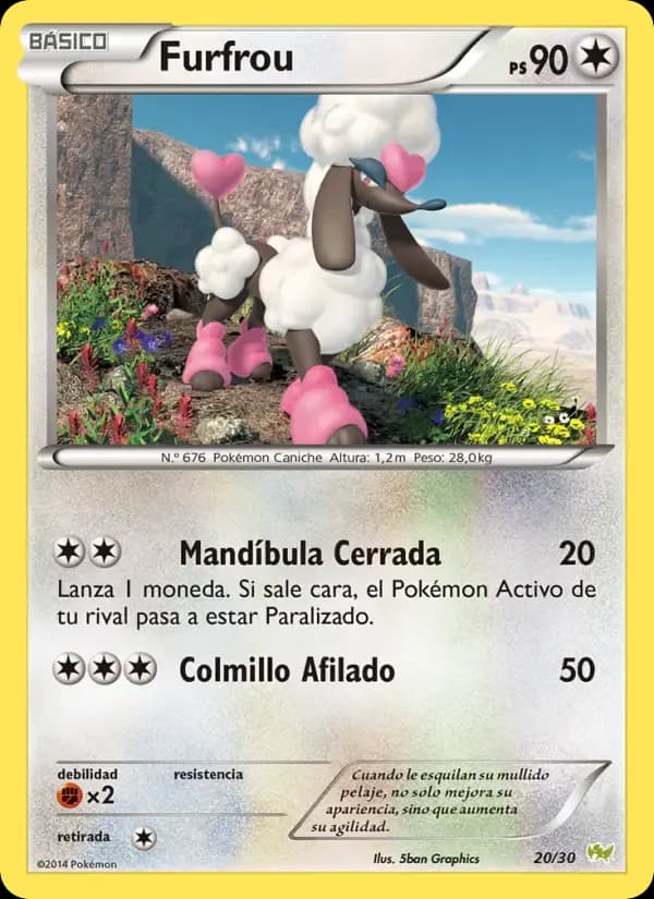 Furfrou — Kit de Entrenador XY (Noivern) 20 Spanish Pokémon card