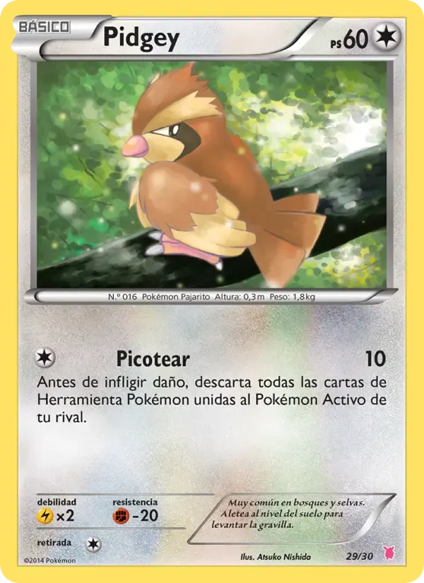 Pidgey — Kit de Entrenador XY (Wigglytuff) 29 Spanish Pokémon card