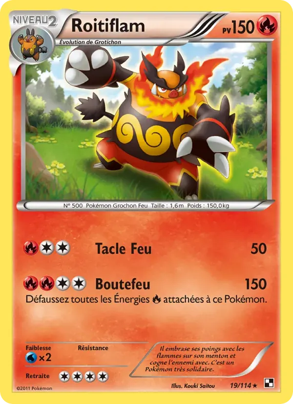 Roitiflam — Noir & Blanc 19 French Pokémon card