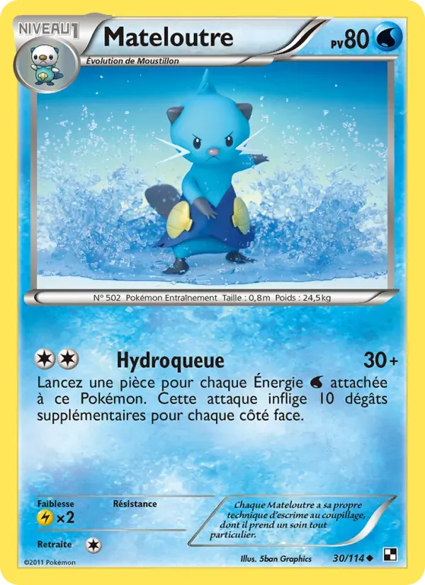Mateloutre — Noir & Blanc 30 French Pokémon card