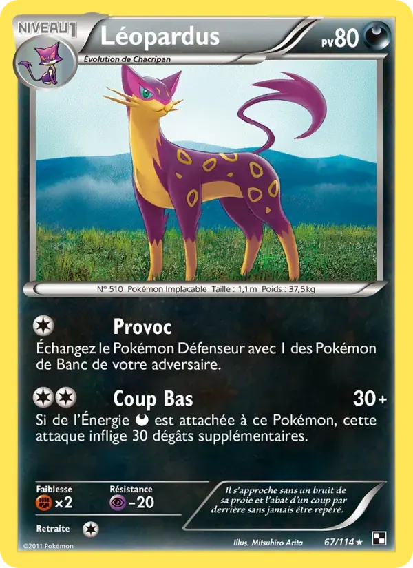 Léopardus — Noir & Blanc 67 French Pokémon card