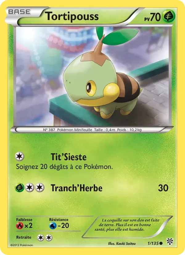 Tortipouss — Tempète Plasma 1 French Pokémon card