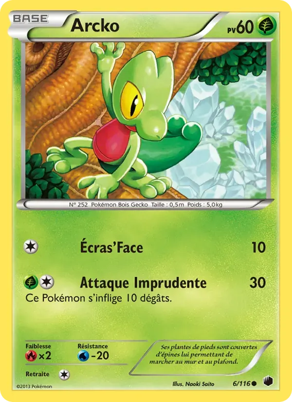 Arcko — Glaciation Plasma 6 French Pokémon card