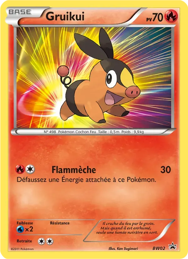 Gruikui — Promo BW BW02 French Pokémon card