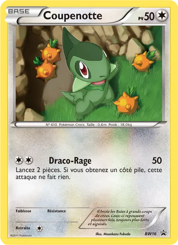 Coupenotte — Promo BW BW16 French Pokémon card