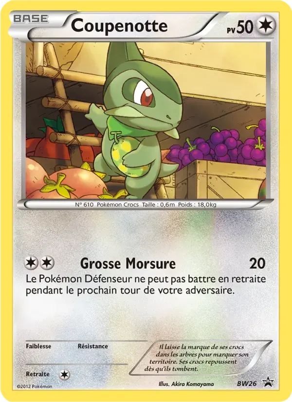 Coupenotte — Promo BW BW26 French Pokémon card