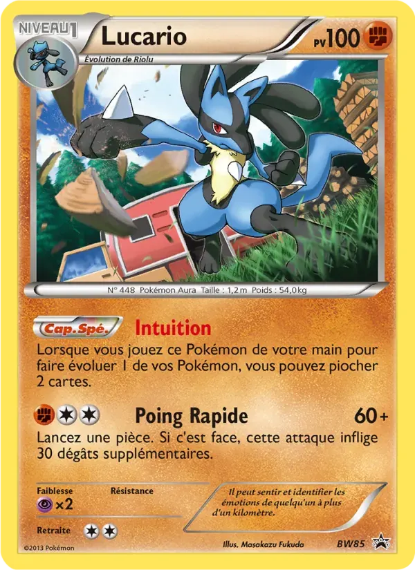 Lucario — Promo BW BW85 French Pokémon card