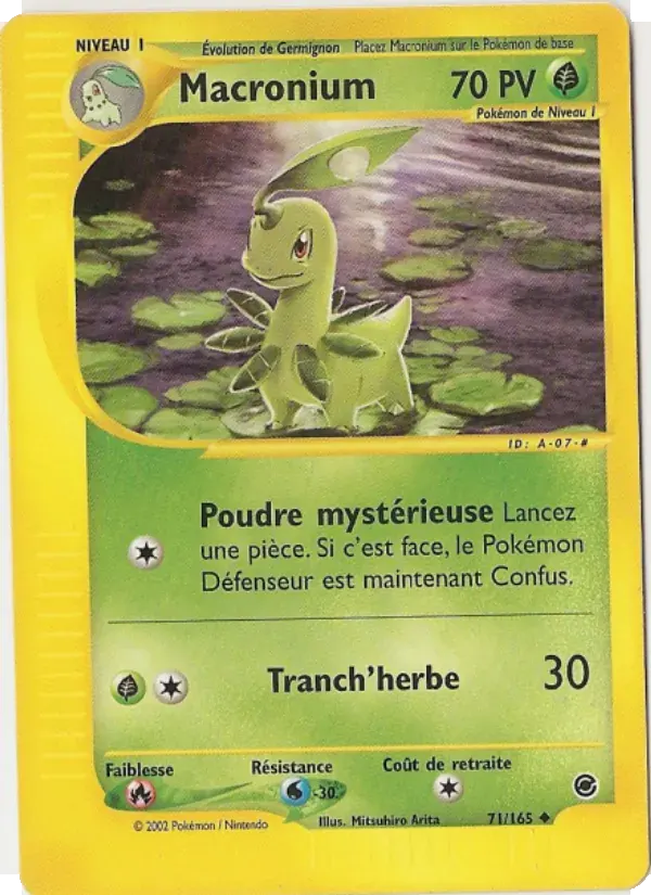 Macronium — Expedition 71 French Pokémon card
