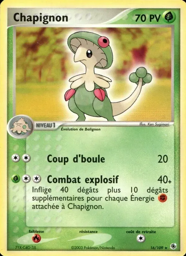Chapignon — EX Rubis & Saphir 16 French Pokémon card