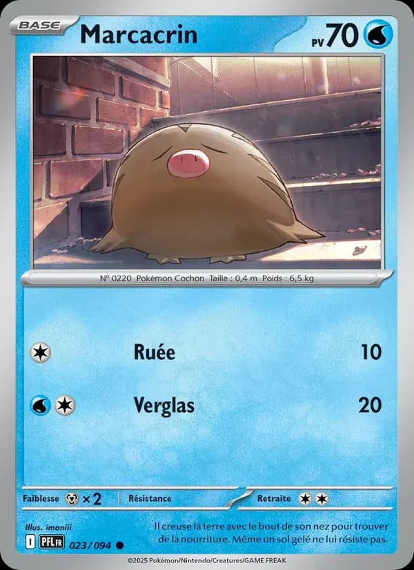 Marcacrin — Flammes Fantasmagoriques 23 French Pokémon card