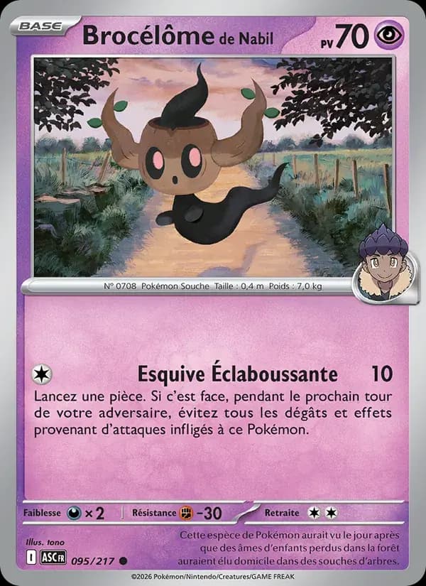 Brocélôme de Nabil — Héros Transcendants 95 French Pokémon card