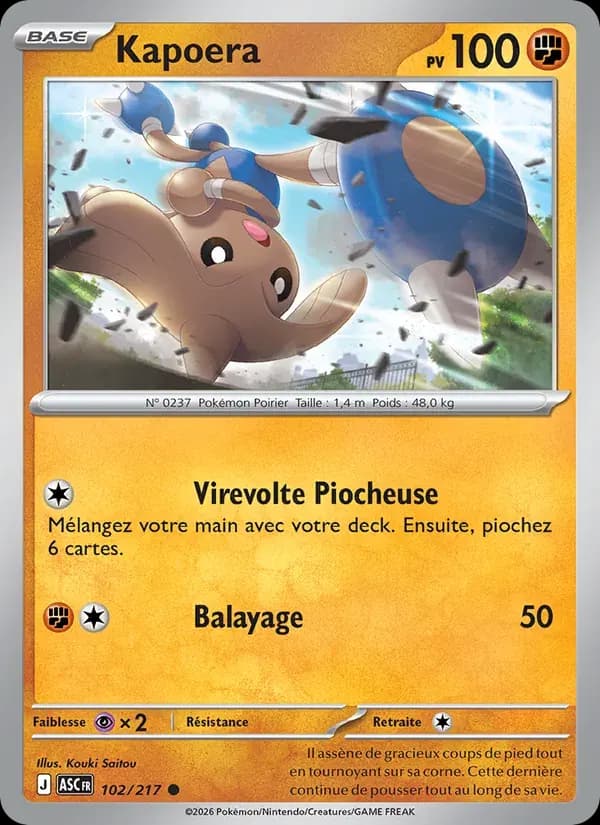 Kapoera — Héros Transcendants 102 French Pokémon card