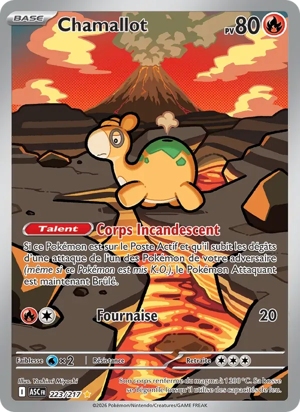 Chamallot — Héros Transcendants 223 French Pokémon card