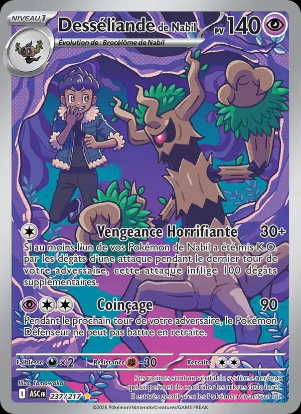 Desséliande de Nabil — Héros Transcendants 237 French Pokémon card