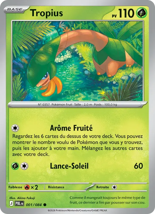 Tropius — Nuit Noire 1 French Pokémon card